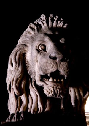 A Szlchenyi - lánchíd oroszlánja