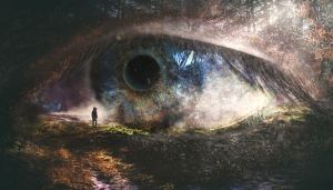 1_kat_Soltesz_Boglarka_Future_2018