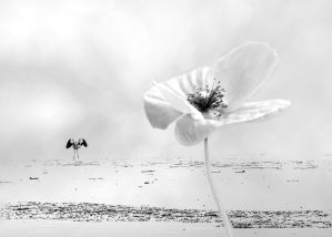 7_Kellnerne_Felso_Sara_On_the_wings_of_the_breeze_Szello_szarnyan