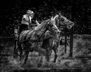 9_Kellnerne_Felso_Sara_SplashCsobbanas