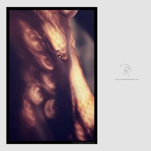 © 2003 | Budapest | BANHALMI